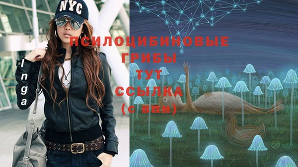 СК Алексеевка