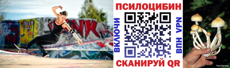Псилоцибиновые грибы Magic Shrooms  нарко площадка наркотические препараты  Геленджик 
